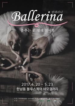 ������ ��������ȸ �˸� ÷���̹���