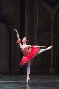 2017 ���Ϲ����� ����(�߷�1) ÷���̹���