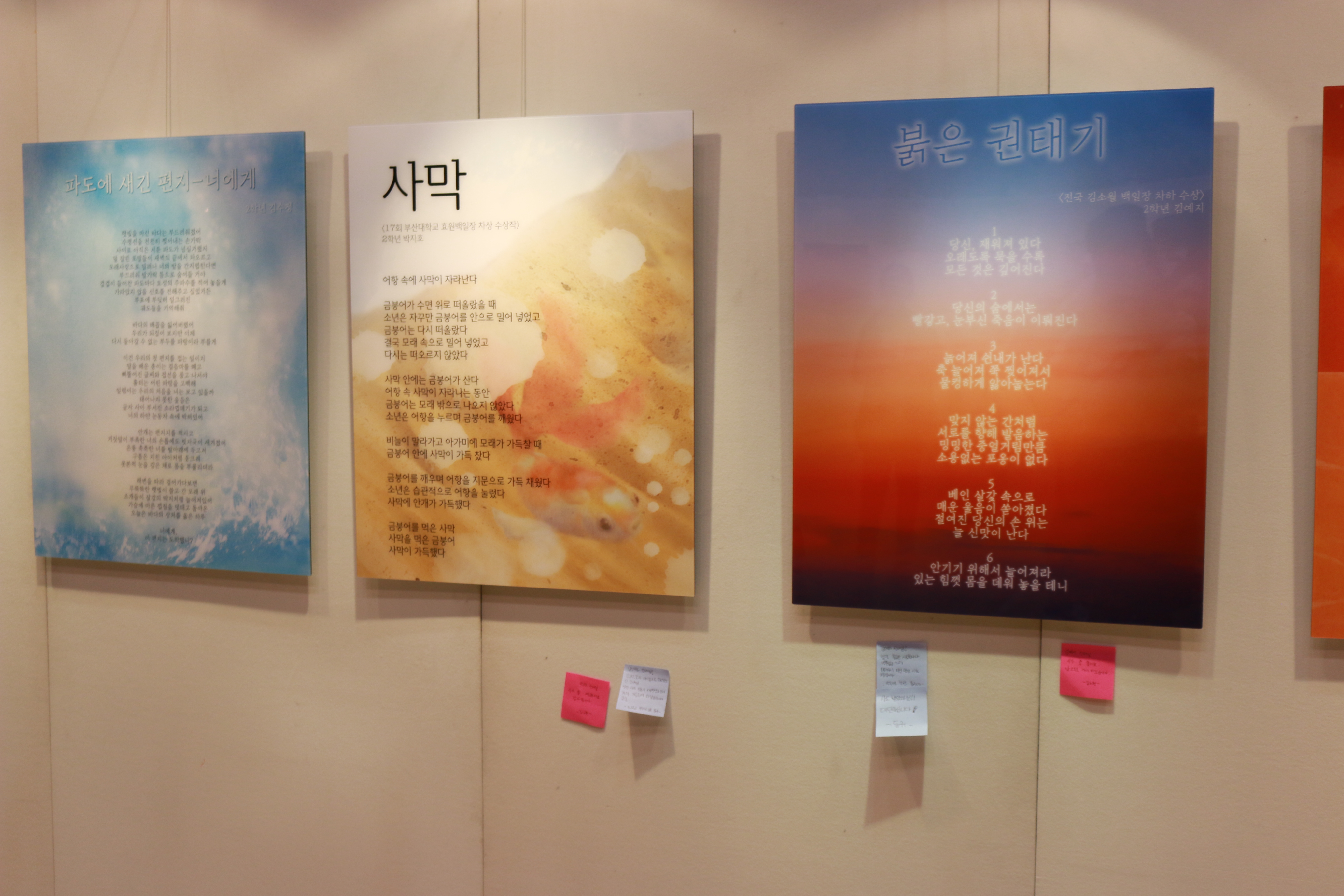 ���ÿ���