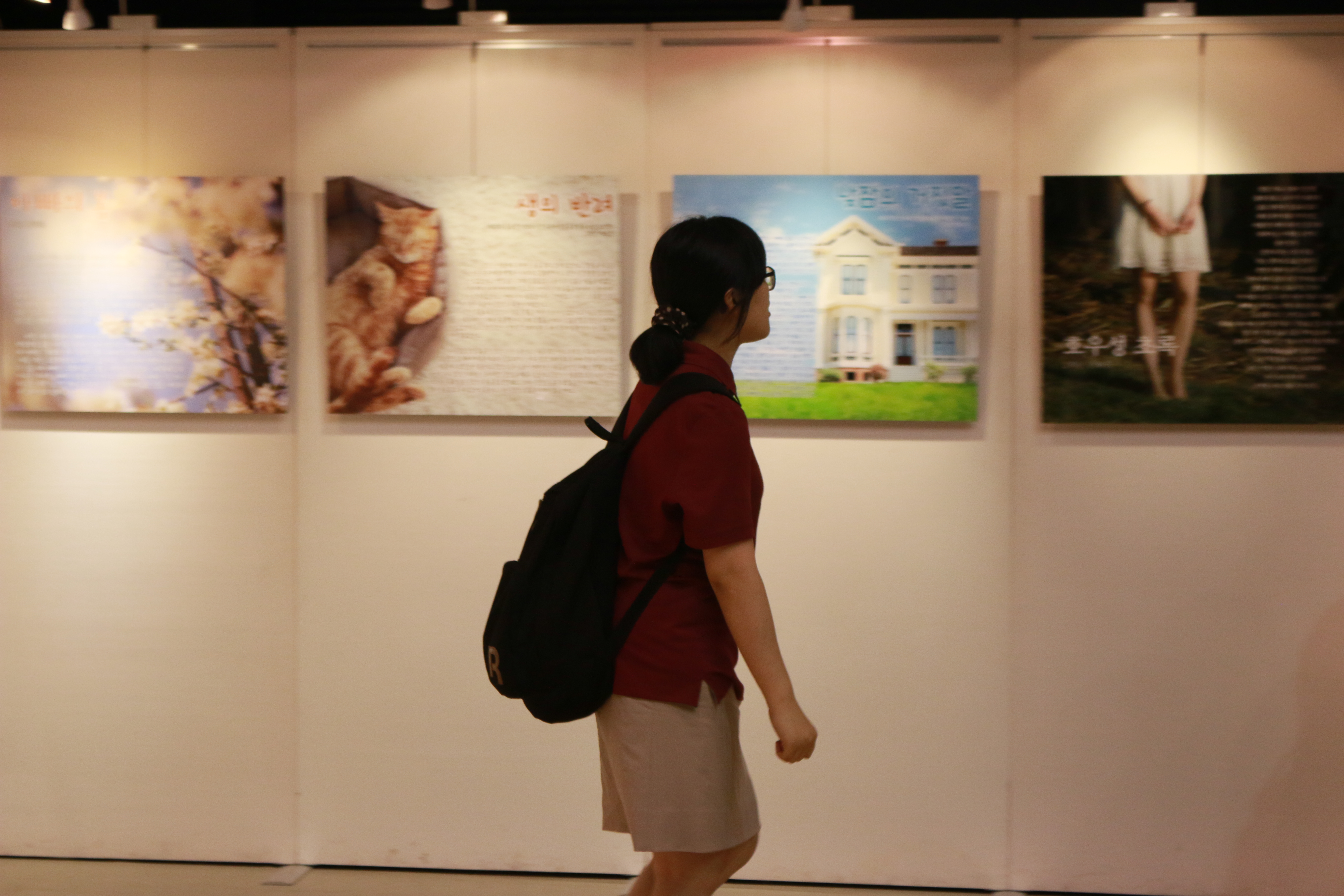 ���ÿ���