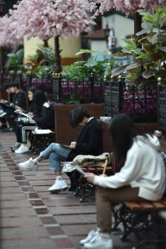 2019 ���߿ܽ���ġ ÷���̹���