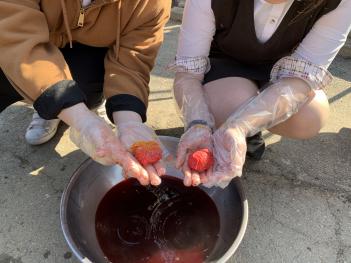 2019 �̼��� ����Ư�� Ȱ�� ÷���̹���