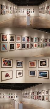 2024�г⵵ ������ ������ ���� ÷���̹���